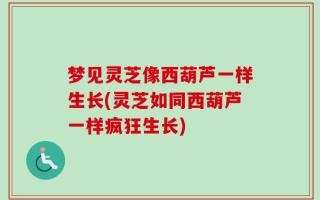 梦见灵芝像西葫芦一样生长(灵芝如同西葫芦一样疯狂生长)