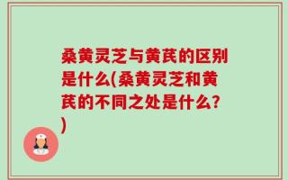 桑黄灵芝与黄芪的区别是什么(桑黄灵芝和黄芪的不同之处是什么？)