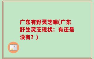 广东有野灵芝嘛(广东野生灵芝现状：有还是没有？)