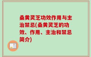 桑黄灵芝功效作用与主治禁忌(桑黄灵芝的功效、作用、主治和禁忌简介)