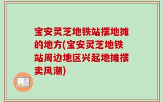 宝安灵芝地铁站摆地摊的地方(宝安灵芝地铁站周边地区兴起地摊摆卖风潮)