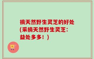 摘天然野生灵芝的好处(采摘天然野生灵芝：益处多多！)