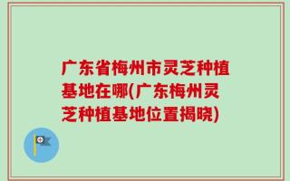 广东省梅州市灵芝种植基地在哪(广东梅州灵芝种植基地位置揭晓)