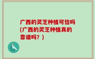 广西的灵芝种植可信吗(广西的灵芝种植真的靠谱吗？)