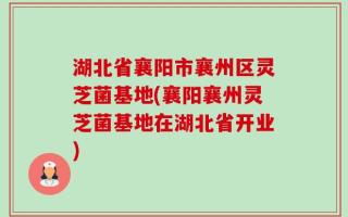 湖北省襄阳市襄州区灵芝菌基地(襄阳襄州灵芝菌基地在湖北省开业)