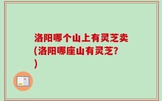 洛阳哪个山上有灵芝卖(洛阳哪座山有灵芝？)