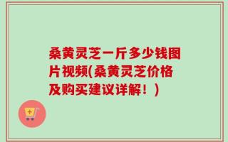 桑黄灵芝一斤多少钱图片视频(桑黄灵芝价格及购买建议详解！)
