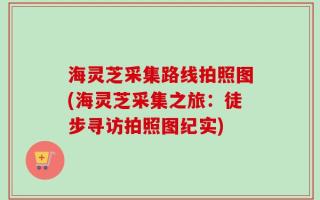 海灵芝采集路线拍照图(海灵芝采集之旅：徒步寻访拍照图纪实)