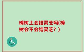 樟树上会结灵芝吗(樟树会不会结灵芝？)
