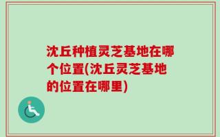 沈丘种植灵芝基地在哪个位置(沈丘灵芝基地的位置在哪里)