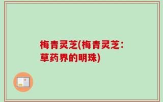 梅青灵芝(梅青灵芝：草药界的明珠)