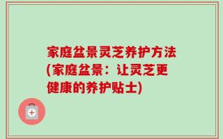 家庭盆景灵芝养护方法(家庭盆景：让灵芝更健康的养护贴士)