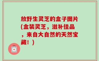 放野生灵芝的盒子图片(盒装灵芝，滋补佳品，来自大自然的天然宝藏！)