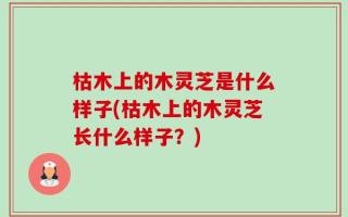 枯木上的木灵芝是什么样子(枯木上的木灵芝长什么样子？)