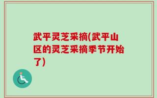 武平灵芝采摘(武平山区的灵芝采摘季节开始了)
