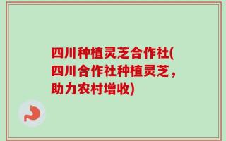 四川种植灵芝合作社(四川合作社种植灵芝，助力农村增收)