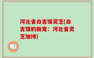河北省白吉馍灵芝(白吉馍的新宠：河北省灵芝加持)