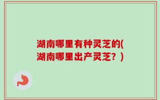 湖南哪里有种灵芝的(湖南哪里出产灵芝？)