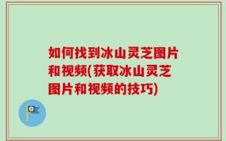 如何找到冰山灵芝图片和视频(获取冰山灵芝图片和视频的技巧)