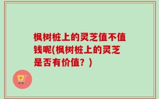 枫树桩上的灵芝值不值钱呢(枫树桩上的灵芝是否有价值？)