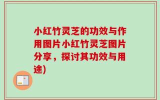 小红竹灵芝的功效与作用图片小红竹灵芝图片分享，探讨其功效与用途)