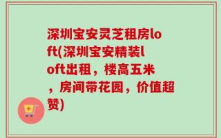 深圳宝安灵芝租房loft(深圳宝安精装loft出租，楼高五米，房间带花园，价值超赞)
