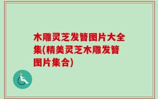 木雕灵芝发簪图片大全集(精美灵芝木雕发簪图片集合)