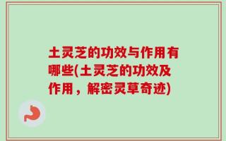 土灵芝的功效与作用有哪些(土灵芝的功效及作用，解密灵草奇迹)