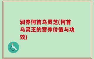 润养何首乌灵芝(何首乌灵芝的营养价值与功效)