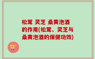 松茸 灵芝 桑黄泡酒的作用(松茸、灵芝与桑黄泡酒的保健功效)