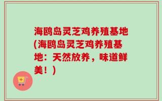 海鸥岛灵芝鸡养殖基地(海鸥岛灵芝鸡养殖基地：天然放养，味道鲜美！)