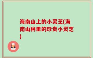 海南山上的小灵芝(海南山林里的珍贵小灵芝)