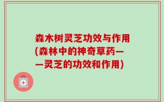 森木树灵芝功效与作用(森林中的神奇草药——灵芝的功效和作用)