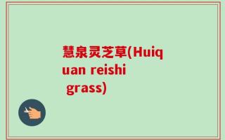慧泉灵芝草(Huiquan reishi grass)