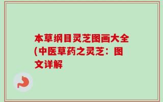 本草纲目灵芝图画大全(中医草药之灵芝：图文详解
