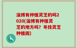 淄博有种植灵芝的吗2020(淄博有种植灵芝的地方吗？寻找灵芝种植园)