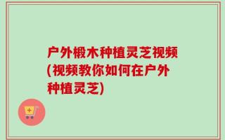 户外椴木种植灵芝视频(视频教你如何在户外种植灵芝)