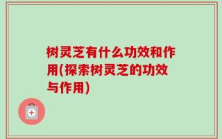 树灵芝有什么功效和作用(探索树灵芝的功效与作用)