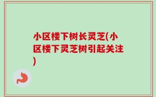 小区楼下树长灵芝(小区楼下灵芝树引起关注)