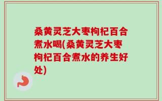 桑黄灵芝大枣枸杞百合煮水喝(桑黄灵芝大枣枸杞百合煮水的养生好处)