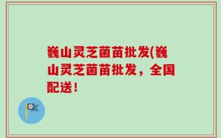 巍山灵芝菌苗批发(巍山灵芝菌苗批发，全国配送！