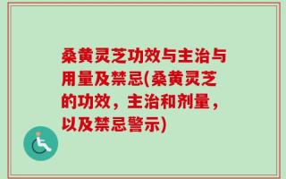 桑黄灵芝功效与主治与用量及禁忌(桑黄灵芝的功效，主治和剂量，以及禁忌警示)