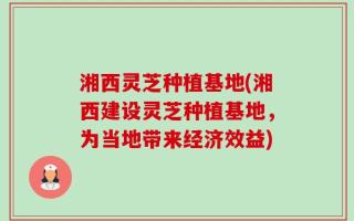 湘西灵芝种植基地(湘西建设灵芝种植基地，为当地带来经济效益)