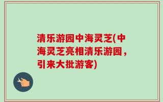 清乐游园中海灵芝(中海灵芝亮相清乐游园，引来大批游客)