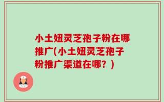 小土妞灵芝孢子粉在哪推广(小土妞灵芝孢子粉推广渠道在哪？)