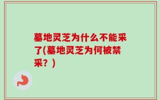 墓地灵芝为什么不能采了(墓地灵芝为何被禁采？)