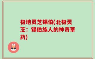 极地灵芝锡伯(北极灵芝：锡伯族人的神奇草药)