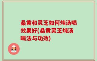 桑黄和灵芝如何炖汤喝效果好(桑黄灵芝炖汤喝法与功效)