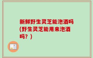 新鲜野生灵芝能泡酒吗(野生灵芝能用来泡酒吗？)