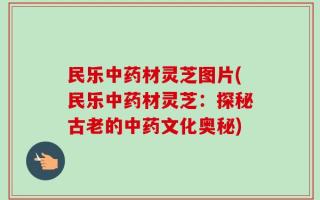 民乐中药材灵芝图片(民乐中药材灵芝：探秘古老的中药文化奥秘)